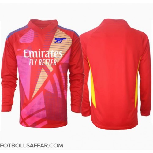 Arsenal Målvakt Bortatröja 2024-25 Långärmad